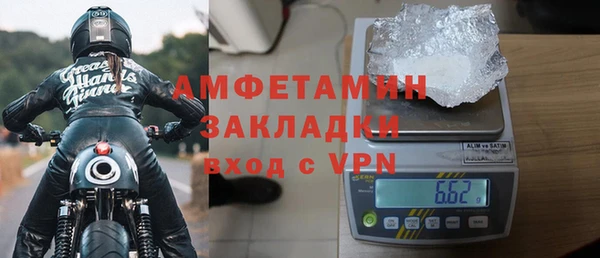 хмурый Ельня