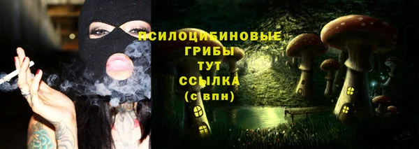 mdpv Елабуга