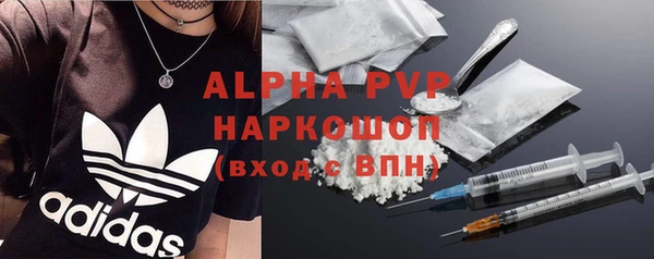 хмурый Ельня