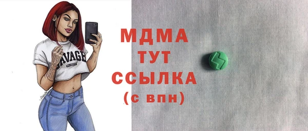 хмурый Ельня