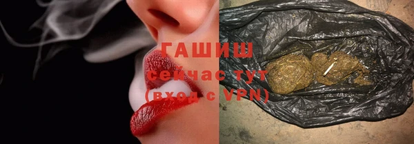 хмурый Ельня