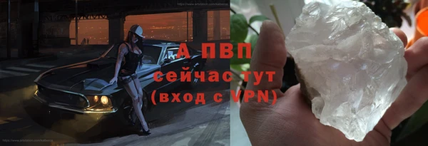 хмурый Ельня