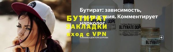 хмурый Ельня
