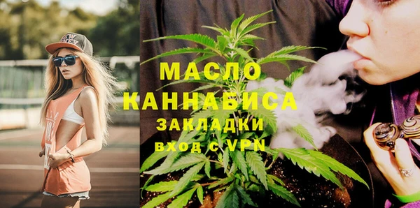 хмурый Ельня