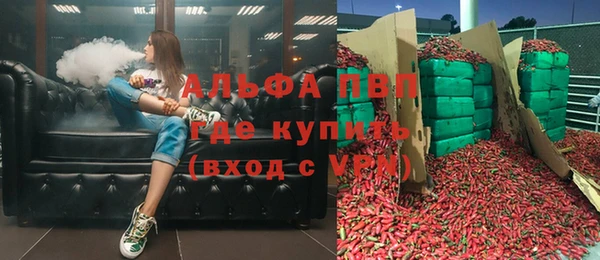 хмурый Ельня