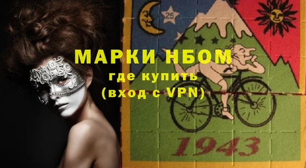 хмурый Ельня