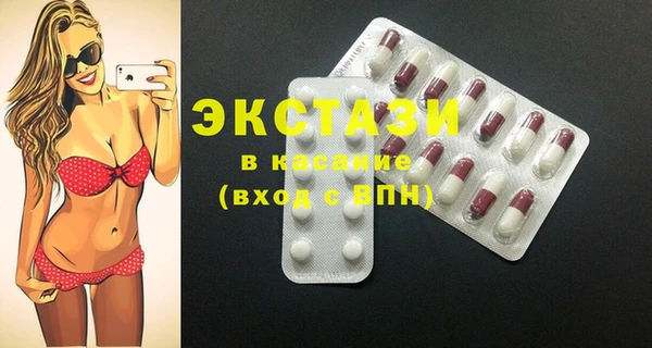хмурый Ельня