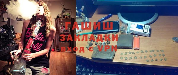 хмурый Ельня