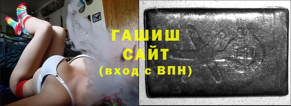 хмурый Ельня
