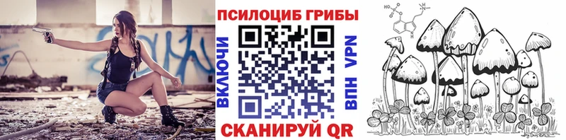 Купить  Кубинка  Галлюциногенные грибы мухоморы 